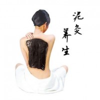 泥灸养生
